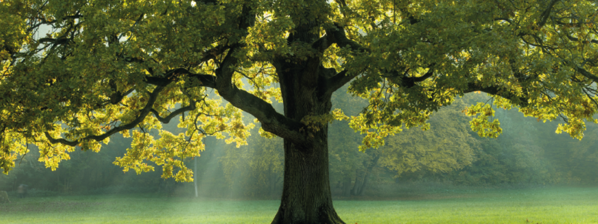 ¡HOY CONMEMORAMOS LA VIDA DEL HOGAR DE TODOS!