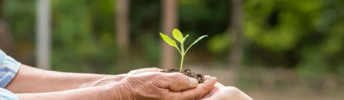 Nuestro planeta, el único hogar que tenemos